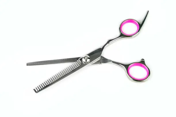 Photo of Professional scissor in pet grooming salon for animal care.