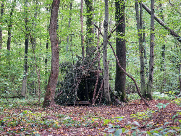 istock Survival shelter in the woods from tree branches. Cone or pyramid shape shelter. 1281857867