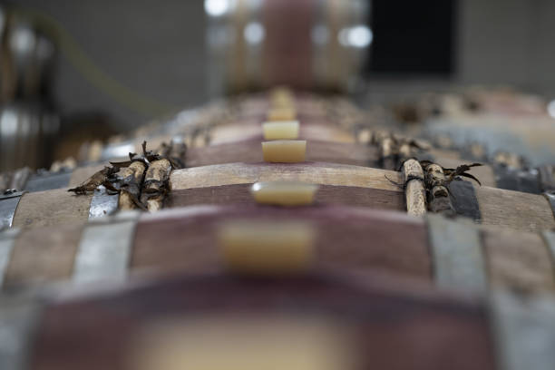 concéntrese en un detalle de la barrica de vino tinto de madera, tradición del patrimonio francés - bilge fotografías e imágenes de stock