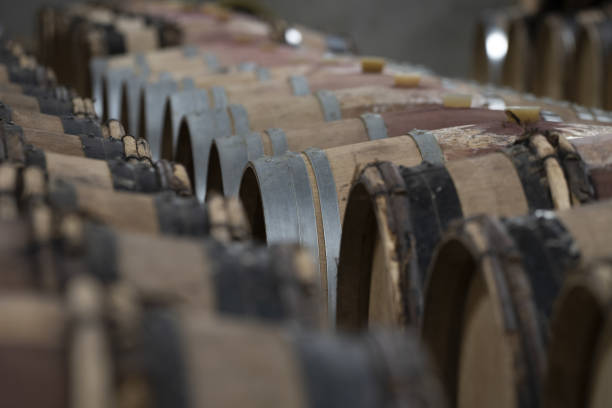 la industria vitivinícola, muchas barricas de madera en una bodega - bilge fotografías e imágenes de stock