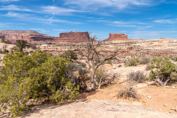 istock Southwest USA Desert Landscape 1281858940