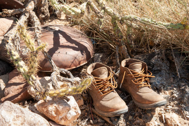 istock Pair old boots and rusty upturned pan left in desert under staghorn cactus 1281861560