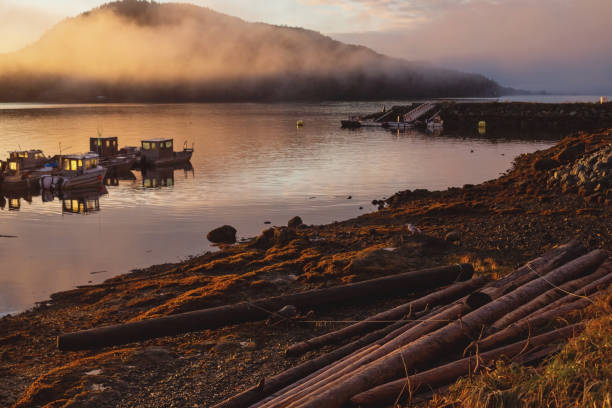 istock Foggy Coastal morning 1281862208