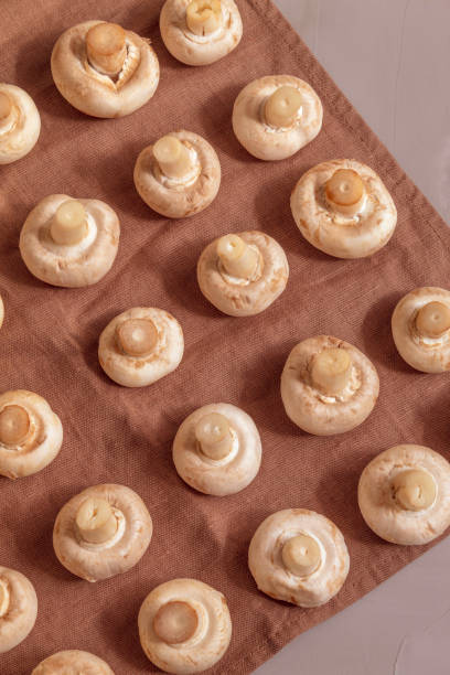 istock On the kitchen towel are fresh mushrooms in a certain order 1281862552