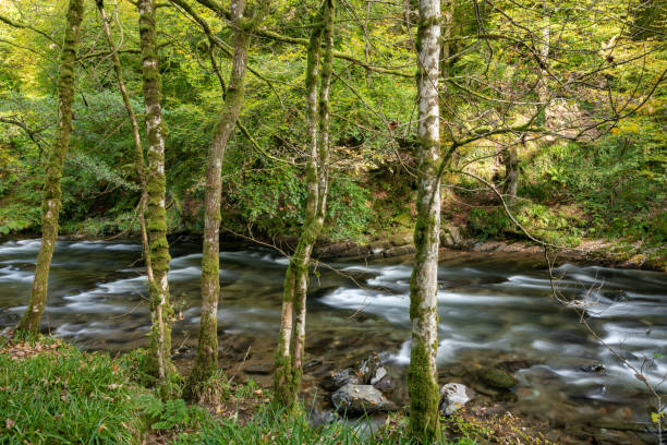 istock Tarr Steps in Exmoor National Park 1281862894