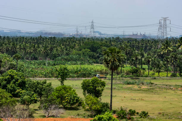 istock Cultivation greenery field looking awesome greenery with background Power Grid Supply above the field looking awesome. 1281863736