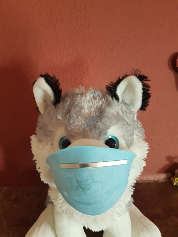 covid-19 coronavirus protection mask on child toy dog on sofa