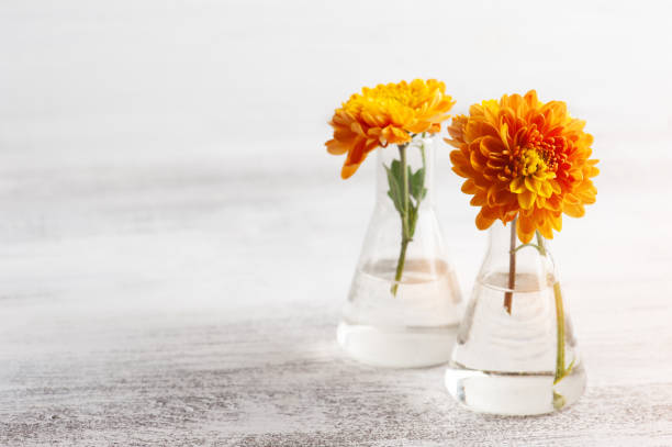 istock Orange flowers in glass pot 1281867697