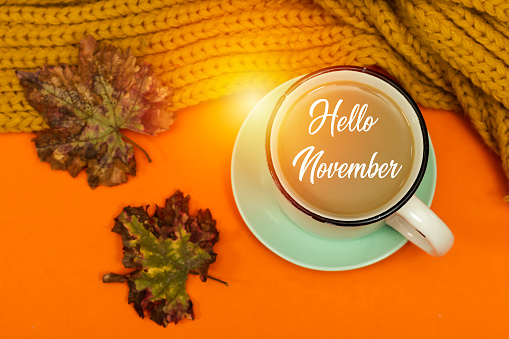 taza de café de leche con bufanda acogedora y hojas de otoño y hola Noviembre photo