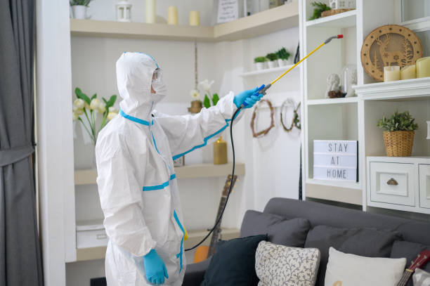 A medical staff in PPE suit is using disinfectant spray in living room, Covid-19 protection , disinfection concept . A medical staff in PPE suit is using disinfectant spray in living room, Covid-19 protection , disinfection concept . biohazard symbol stock pictures, royalty-free photos & images