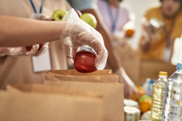 Close up of hand of volunteer in glove holding an apple while collecting, sorting food for needy people in paper bags, Team working together on donation project stock photo
