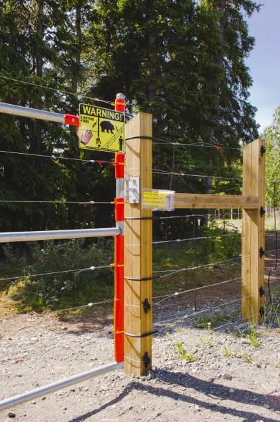 istock Bear-resistant electric fence and gate 1281868919