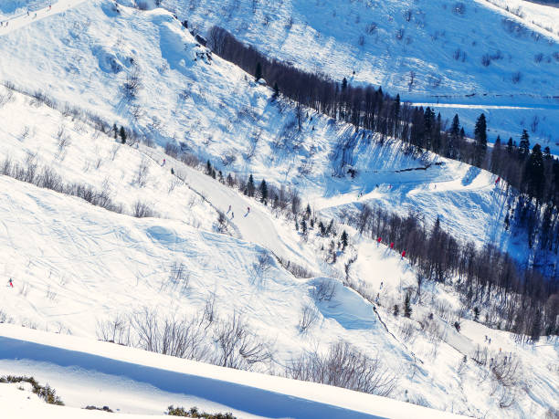 istock Ski slopes with pistes and trees along. View from above 1281869867