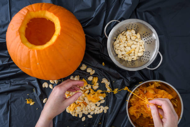 istock Pumpkin seed harvesting 1281870110