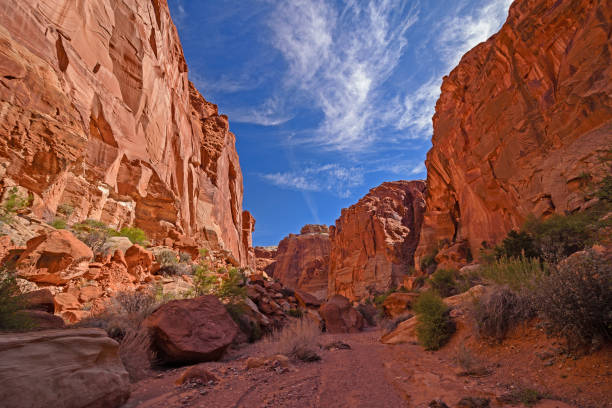 istock Sun and Shade in a Deep Canyon 1281871233