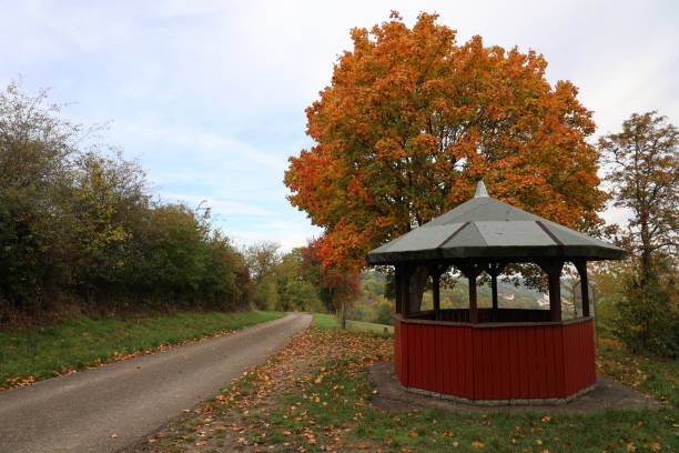 istock Autumn landscape with a gazebo by the road 1281871602