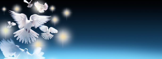 White doves of peace fly off into the heavens.