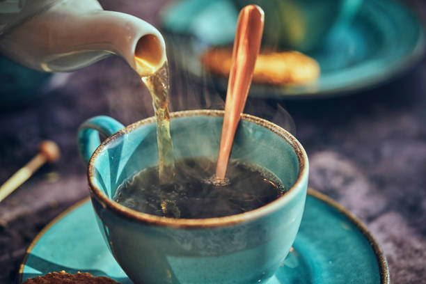 tasse schwarzen tee serviert mit keksen - teepflanze stock-fotos und bilder