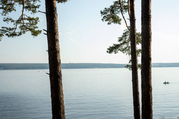 istock Pine trees on the background of the river. Horizon. 1281878645