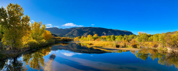 taos: sunlit rio grande river, otoño cottonwoods - poplar tree leaf green tree fotografías e imágenes de stock