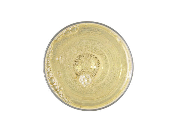glass of champagne with bubbles, isolated on white background, top view