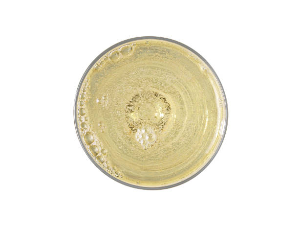 glass of champagne with bubbles, isolated on white background, top view - champagne champagne flute pouring wine imagens e fotografias de stock