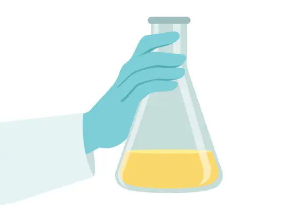 Vector illustration of Erlenmeyer flask