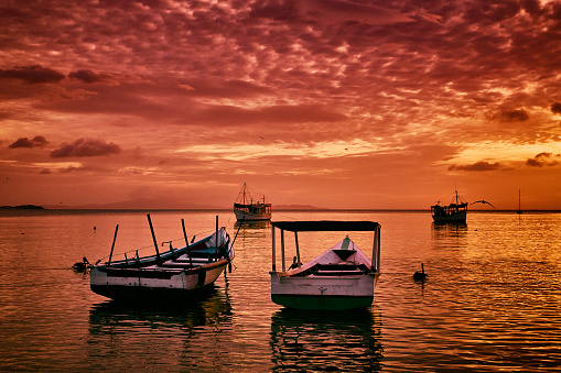 Sunset at a Caribbean island with fishermen's boats and tropical birds. Juan Griego, Margarita Island, Venezuela