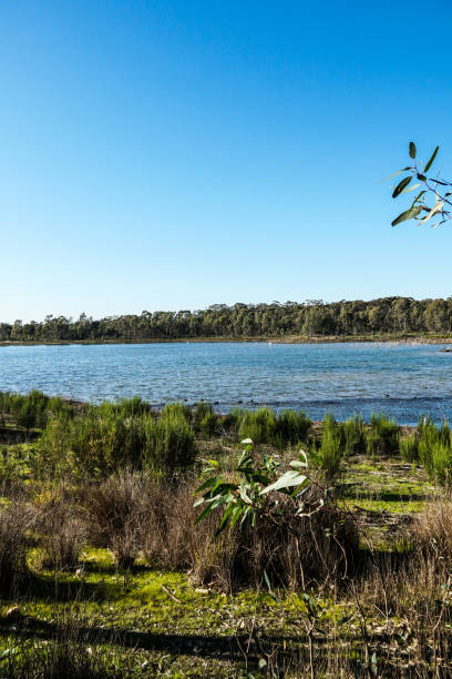 istock Bendigo, Victoria, Australia 1281881907