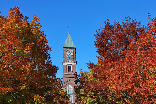 oak trees in fall colors surrounding tall brick clock tower