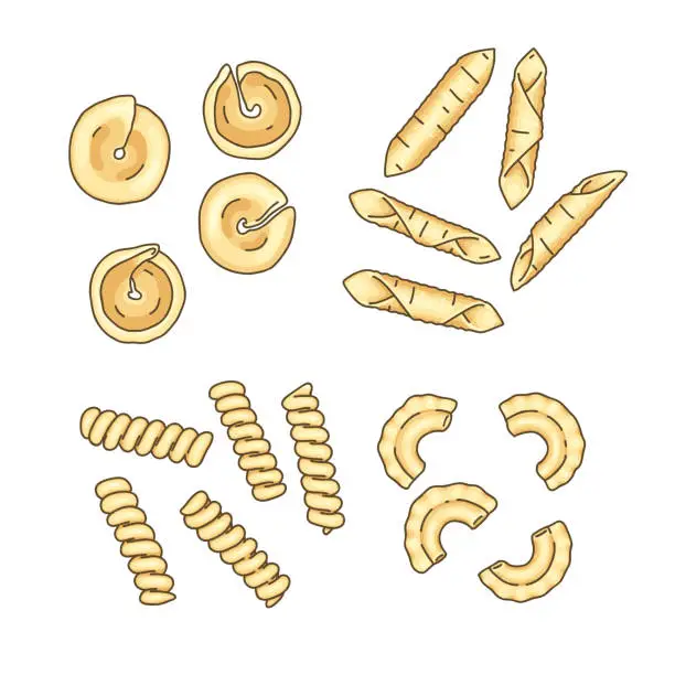 Vector illustration of Set of different pasta types: messicani, garganelli, fusilli bucati corti, and creste di gallo.