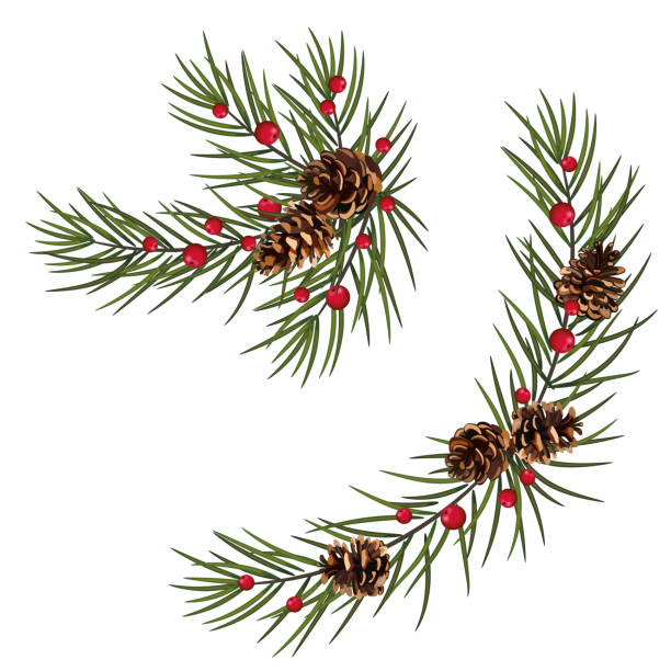 istock Christmas garland with pine tree branches.isolated on white for New Year greeting cards, banners, invitations, calendars 1281891177