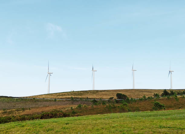 istock Wind energy generator turbines in a meadow 1281893489