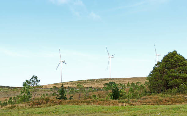 istock Wind energy generator turbines in a meadow 1281893502