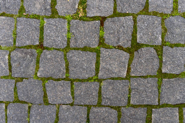 istock Stone gray wall with green moss is a good background. 1281893503