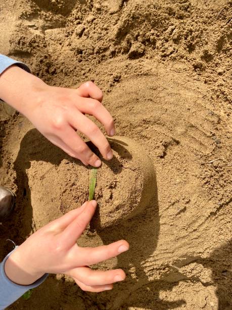 construction de châteaux de sable - sandbox child human hand sand photos et images de collection