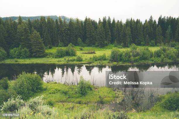 The Snake River Along Moosewilson Road In Grand Teton National Park Calm River Water Stock Photo - Download Image Now