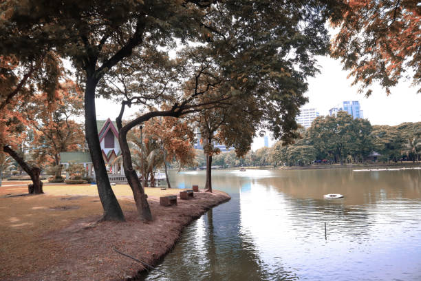 istock Water sources in the park and trees are places to rest. 1281897237