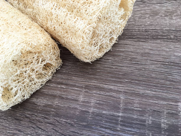 istock Luffa Loofah , vegetable sponge for clean and scrub your skin 1281897926