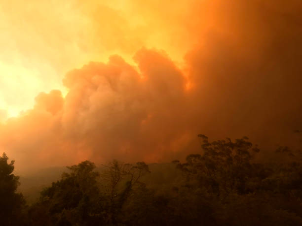 der orange himmel während der australischen buschbrände - wildfire smoke stock-fotos und bilder