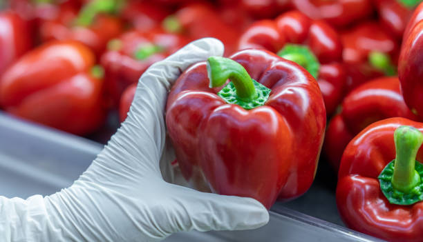 Gloves and Sweet Pepper