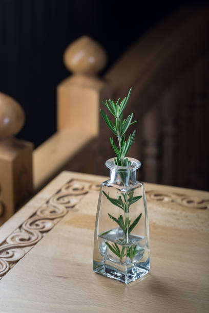 istock Fresh sprig of rosemary in a jar 1281906479