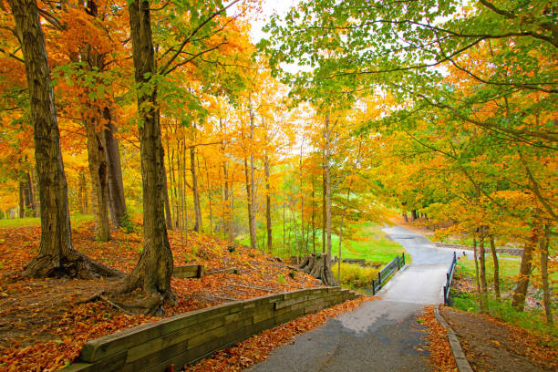 istock Bridge with beautiful fall colors-Howard County,  Indiana 1281906671