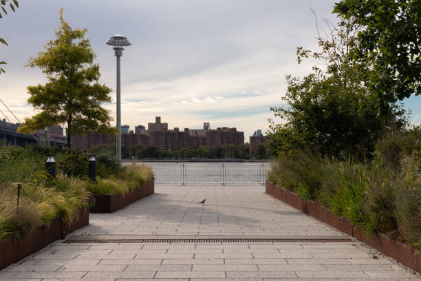 istock Domino Park Riverfront Walkway with Green Trees and Plants during Summer in Williamsburg Brooklyn New York 1281910528
