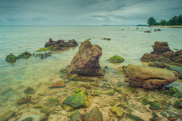 istock Beauty moss  on stone at the beach. 1281916728