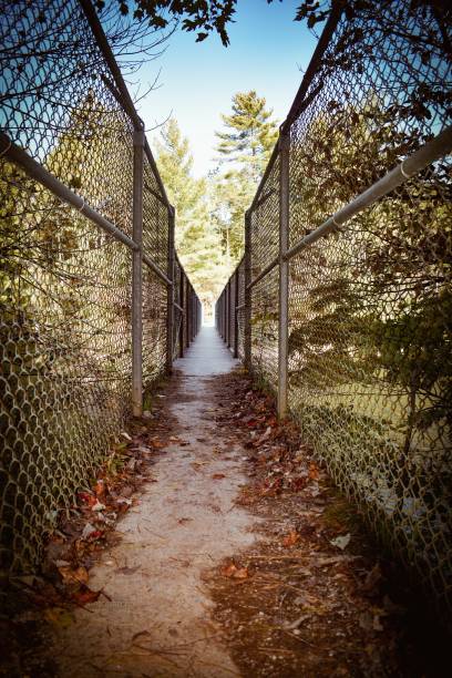 istock Narrow passage covered with autum leaves 1281917672
