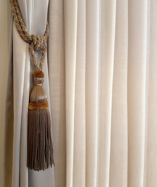 istock holding strap for a curtain with brushes close up 1281923803