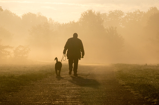 Brunssum, the Netherlands, - October 192, 2020. Man walking with his dog in the morning dew on a autumn day in October