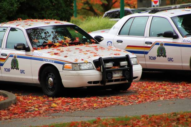 RCMP Cruisers in the parking lot with maple leaves on the front window and the ground October 17, 2020, Burnaby, British Columbia, Canada; A Royal Canadian Mounted Police RCMP cruiser near the City Hall of Burnaby. The RCMP is Canada's federal and national police agency. police station canada stock pictures, royalty-free photos & images
