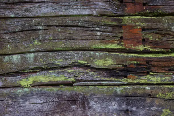Old weather-beaten and rotten wooden planks with lichens